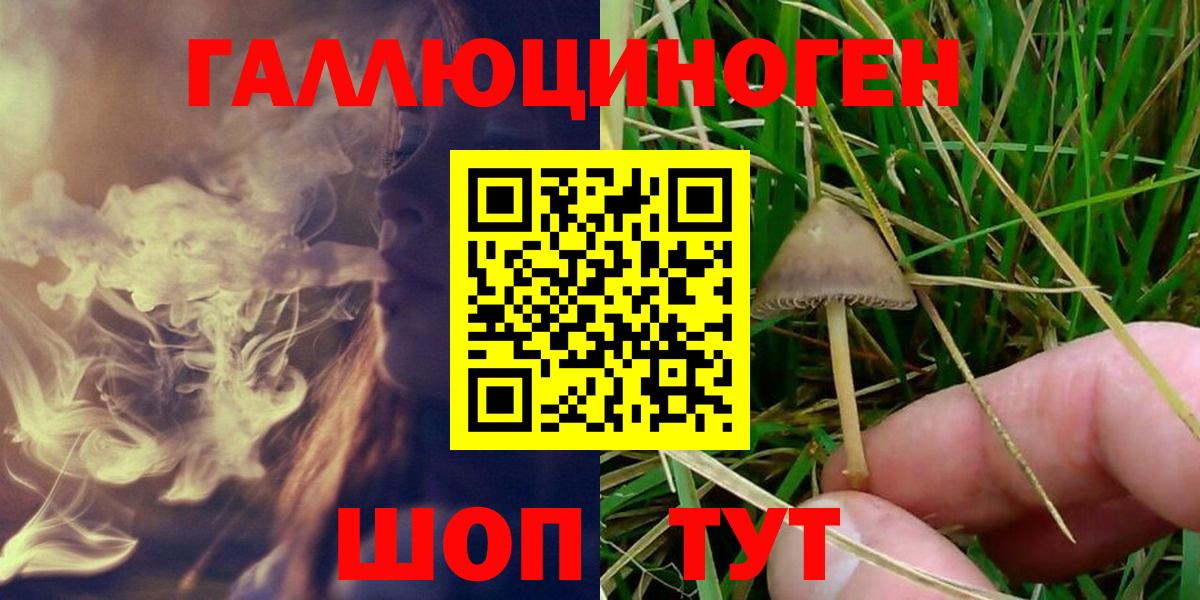 Псилоцибиновые грибы Psilocybe  Вход с VPN  Волжск 